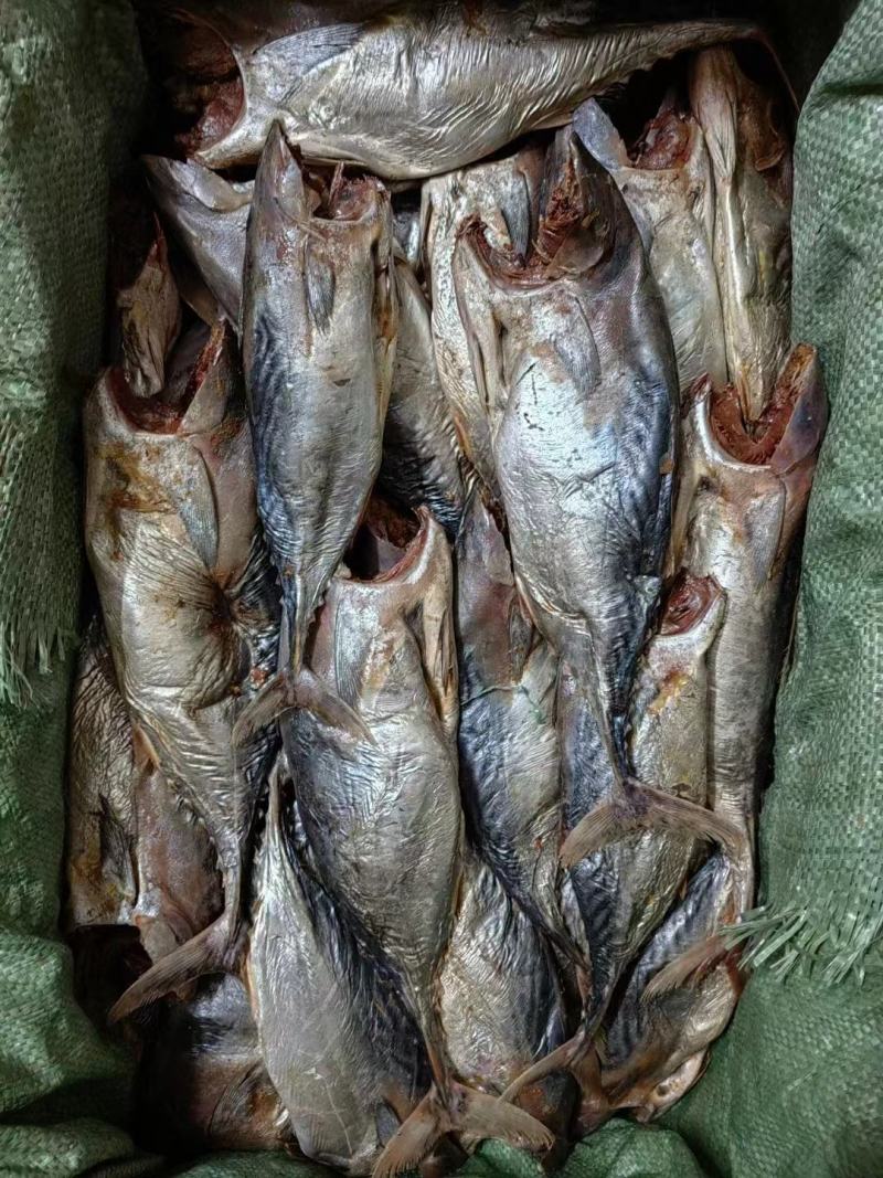 去头无内脏梅香味咸鱼红肉鱼鲜嫩用于做茄子煲的好材料