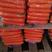 河南新三红红萝卜大量上市电商，市场，超市，供应各种包装，