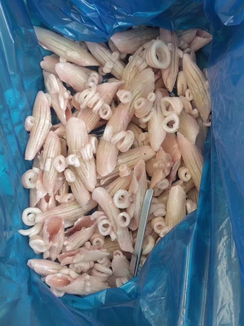 节后订单开始接单