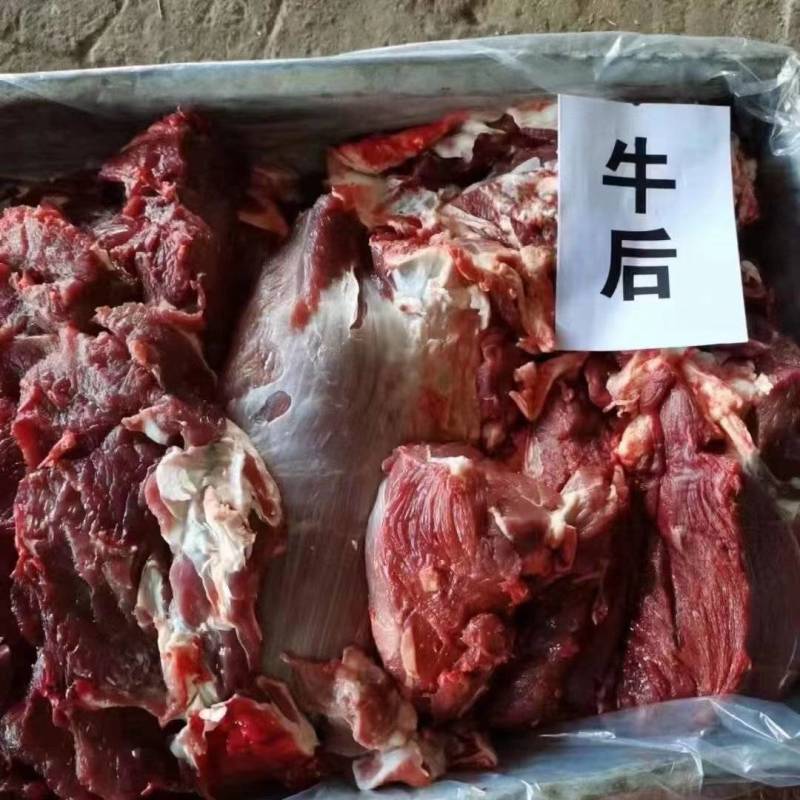 大黄牛肉，纯干无水，量大，需要的联系，保证质量