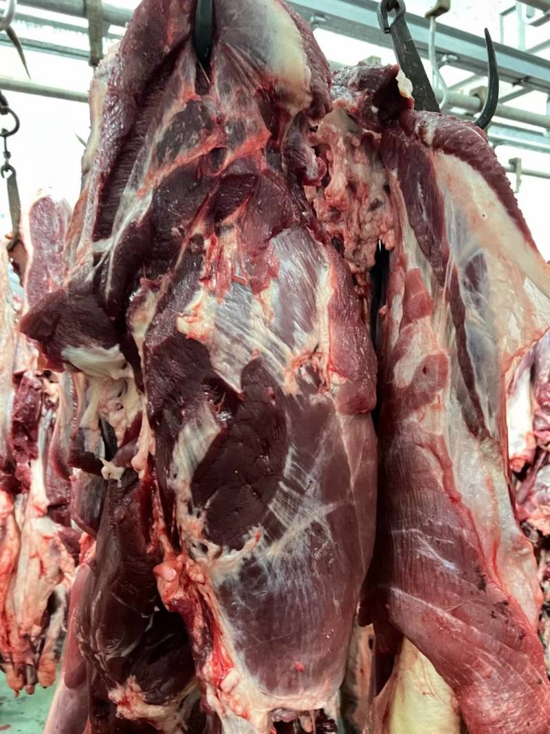 大黄牛肉，纯干无水，量大，需要的联系，保证质量