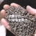 冬藏处理好的—纯手工八棱海棠种子，保出芽率95%以上。