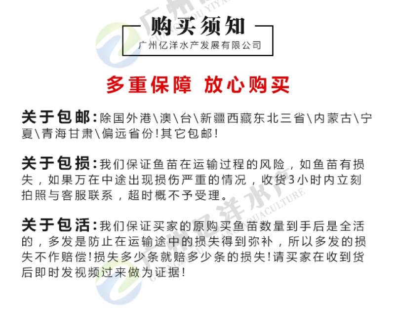 花鲢鱼苗精选种苗基地直销包邮发货直达