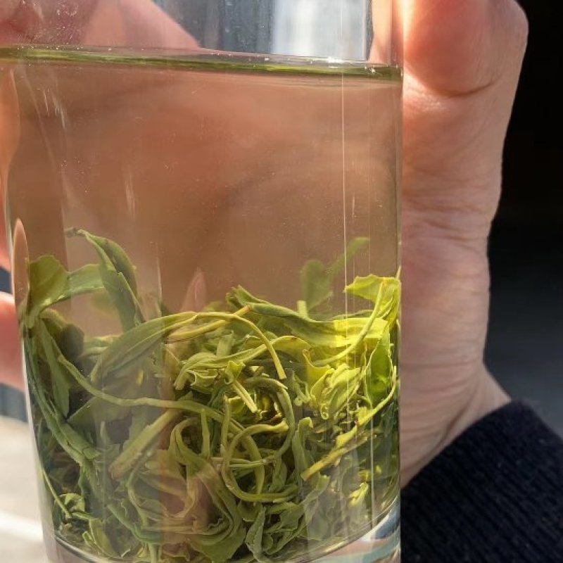 恩施高山绿茶香茶