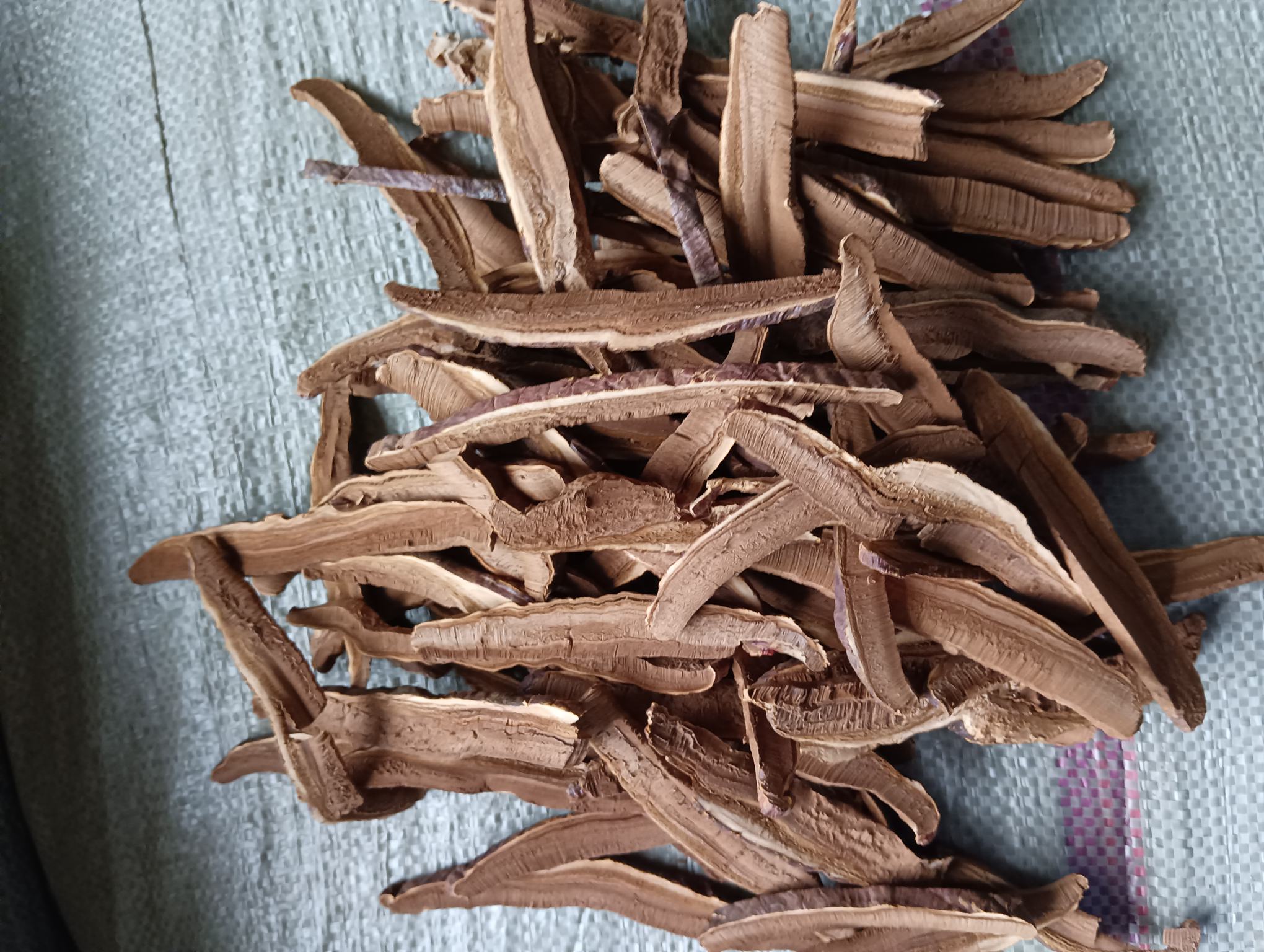 赤灵芝在阴凉通风处自然阴干 赤灵芝在阴凉通风处阴干