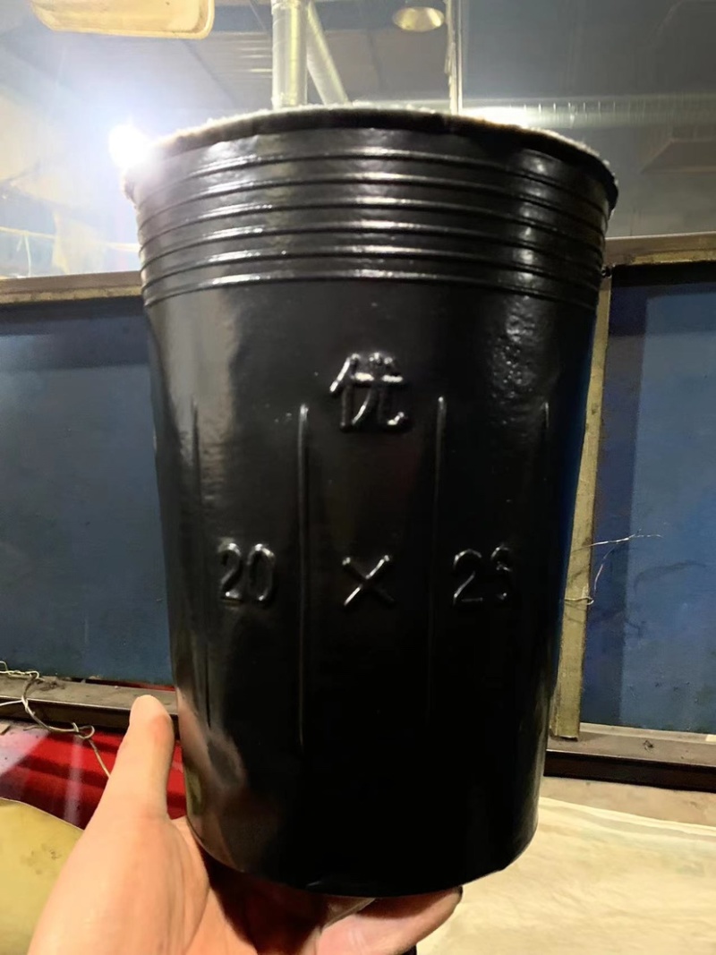 厂家直销各种型号营养钵育苗杯抗老