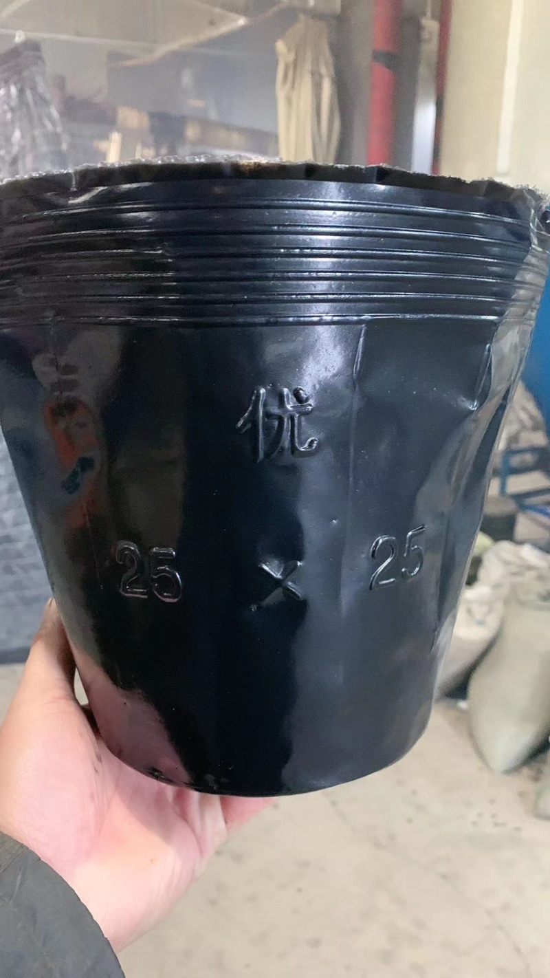 厂家直销各种型号营养钵育苗杯抗老