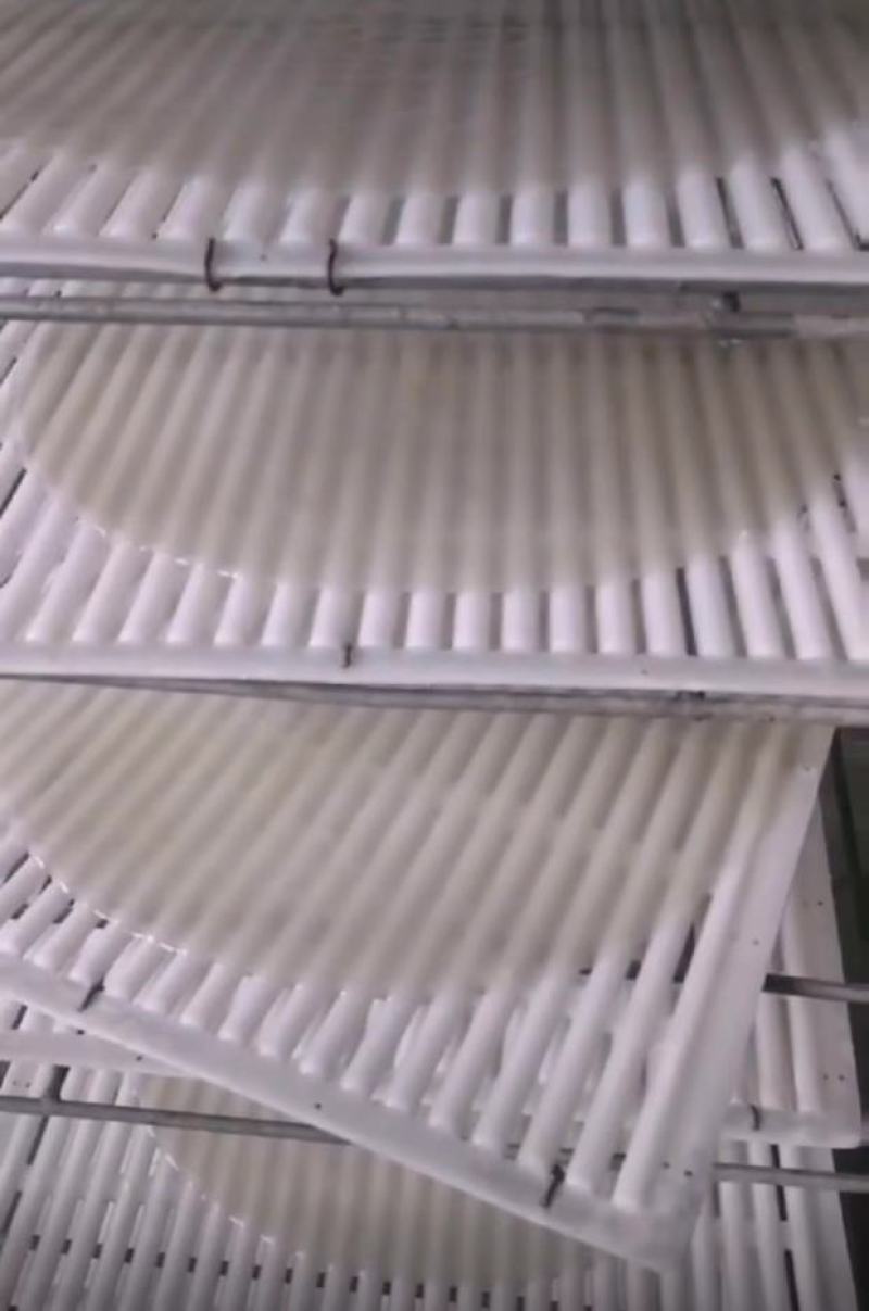 粉皮采用优质红薯淀粉精纯工艺制作而成无尘车间生产室内烘干