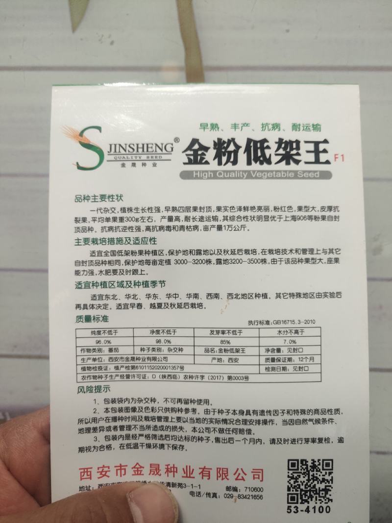 金粉低架王番茄种子早熟果型大皮厚抗裂果亩产1万公斤