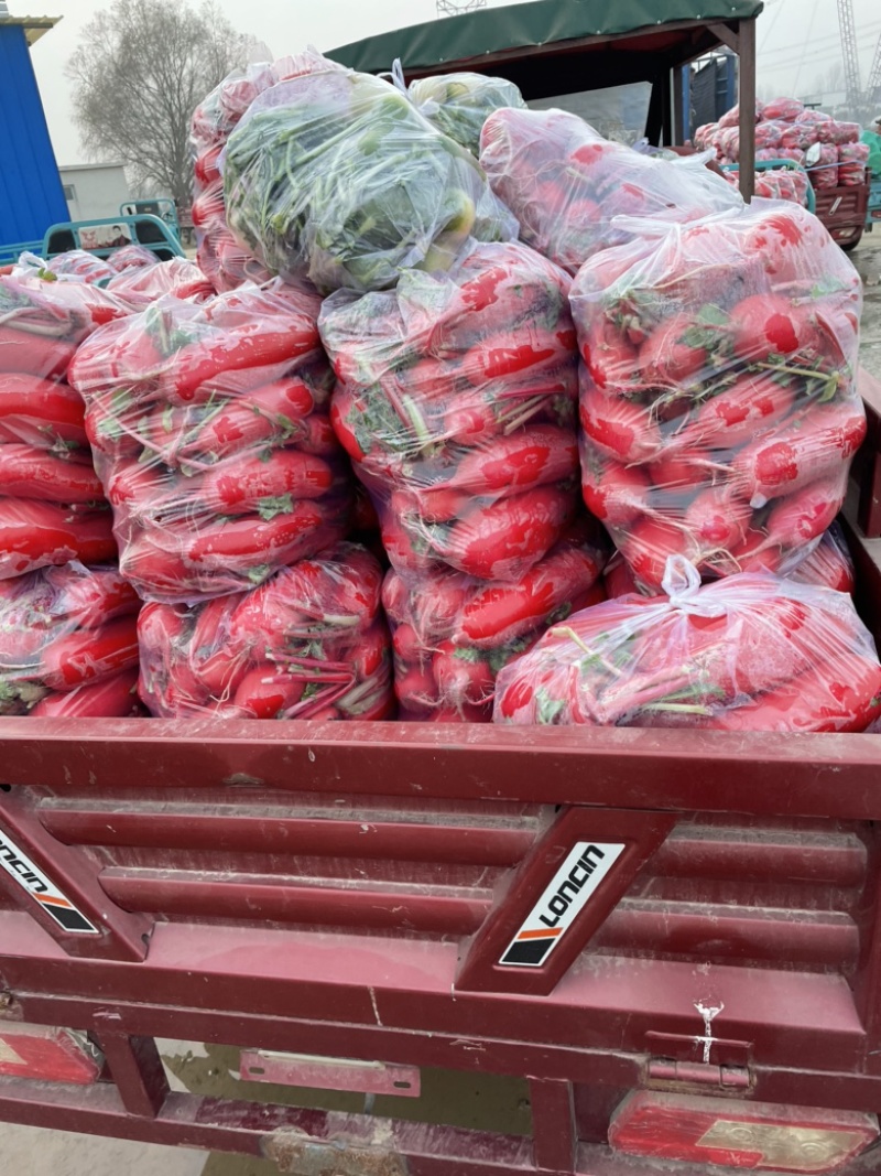 红皮萝卜，需要的朋友可以联系我