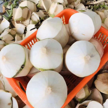 海南椰子厂家直销一手货源，工厂直销椰王带皮