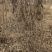 丛生紫荆高2.3~2.8米冠幅100厘米~150厘米