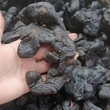 九制黄精干