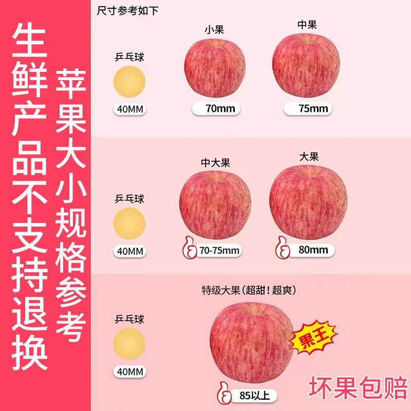 延安红富士产地直发冷库储存口感脆甜坏果包赔