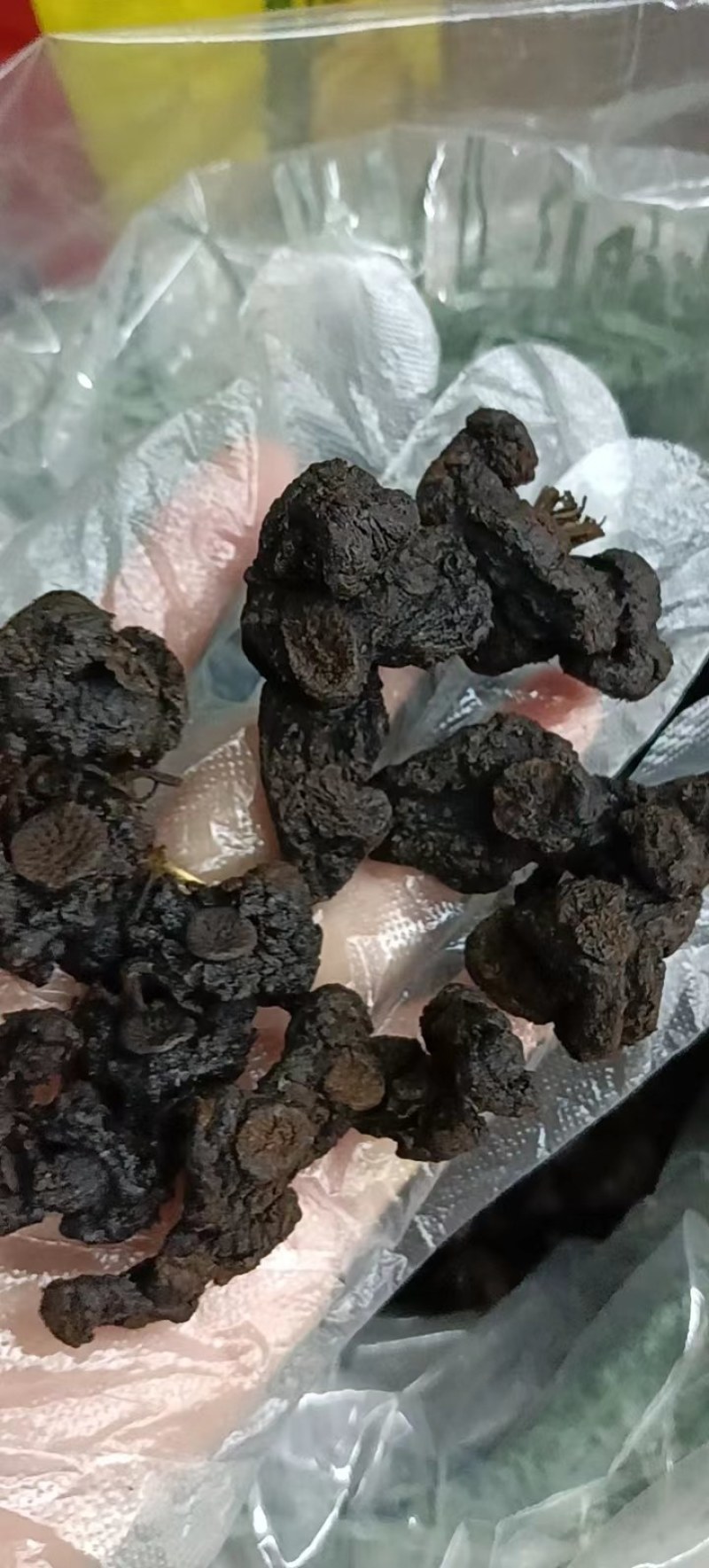 九制黄精干
