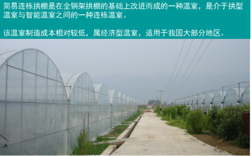 简易连栋大棚葡萄避雨棚养殖大棚镀锌大棚管镀锌钢