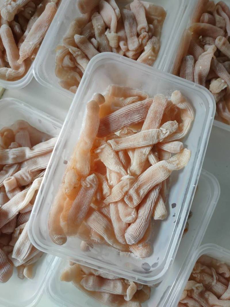 北海龙潭生沙虫个大肉厚品质佳优质的海鲜食材