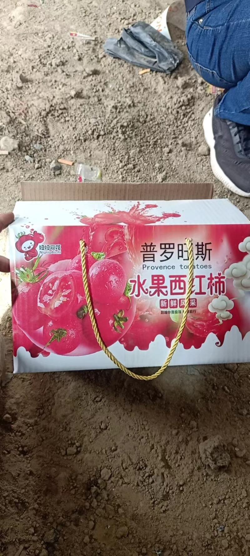 【推荐】普罗旺斯西红柿供货商超档口电商社区团购量大价优