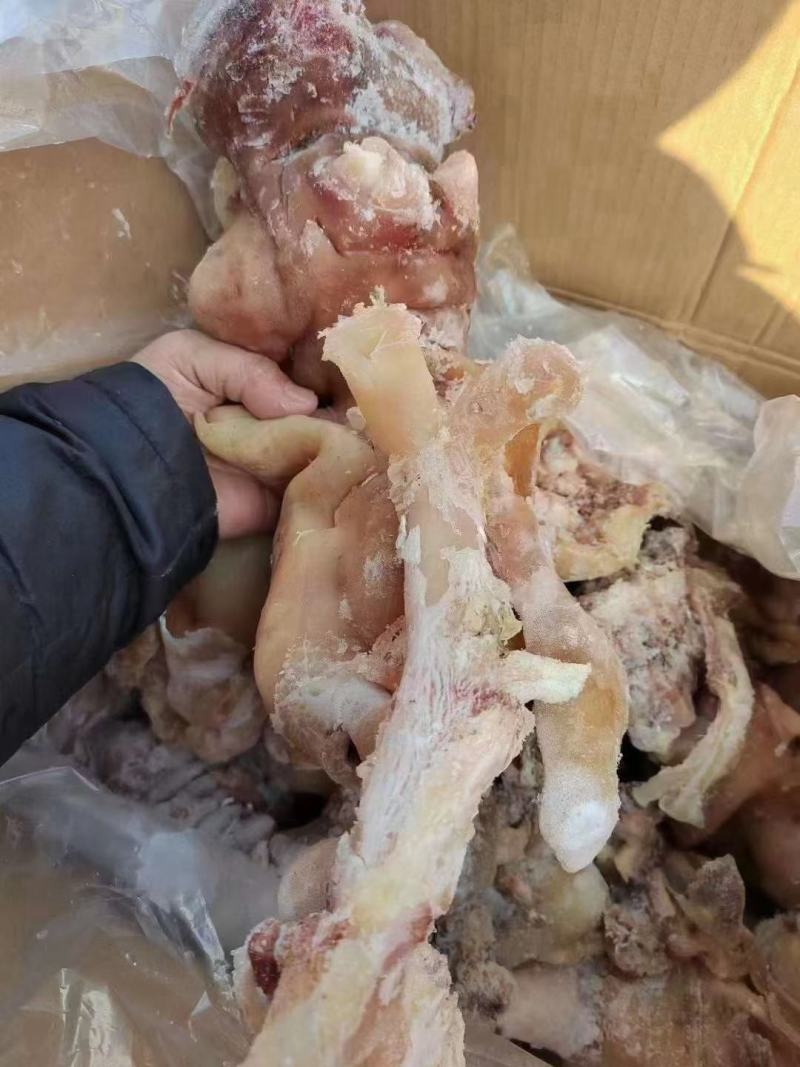 火烧毛熟牛蹄去骨带筋真空散装一手货源价格美丽库房现货