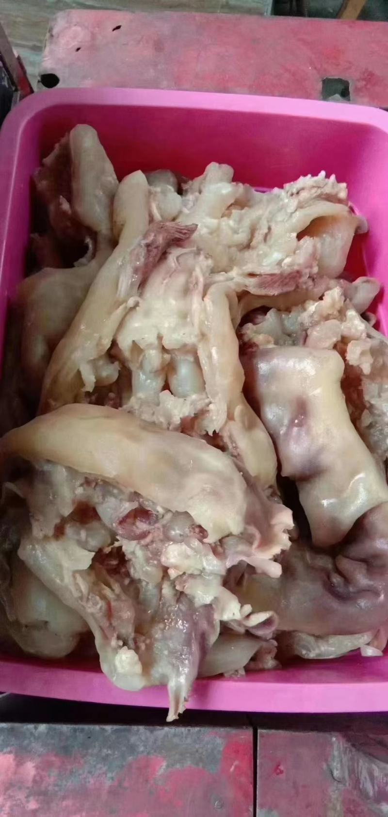 火烧毛熟牛蹄去骨带筋真空散装一手货源价格美丽库房现货