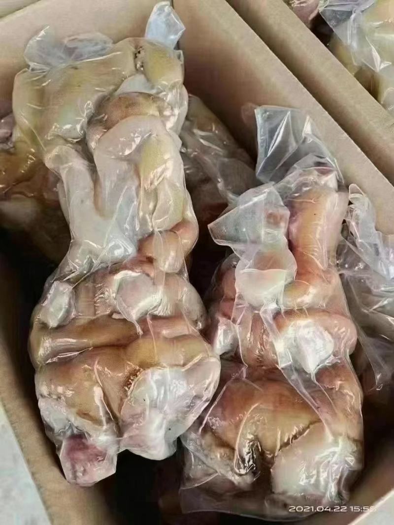 火烧毛熟牛蹄去骨带筋真空散装一手货源价格美丽库房现货