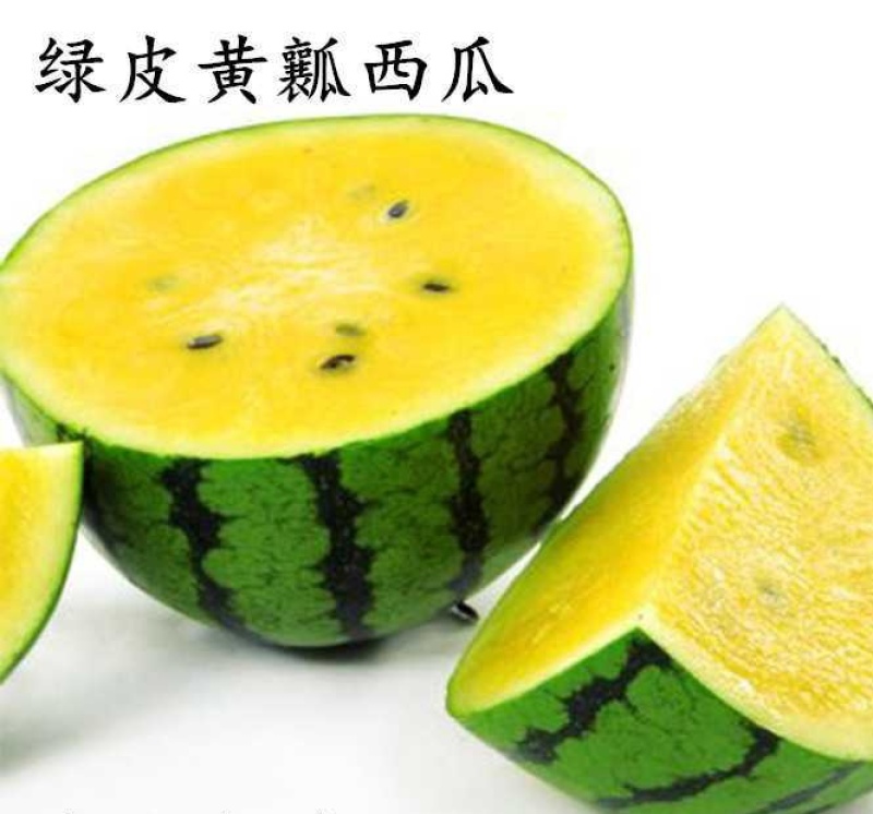 农友小兰苗农友小兰西瓜苗直播苗嫁接苗免费技术指导包回收