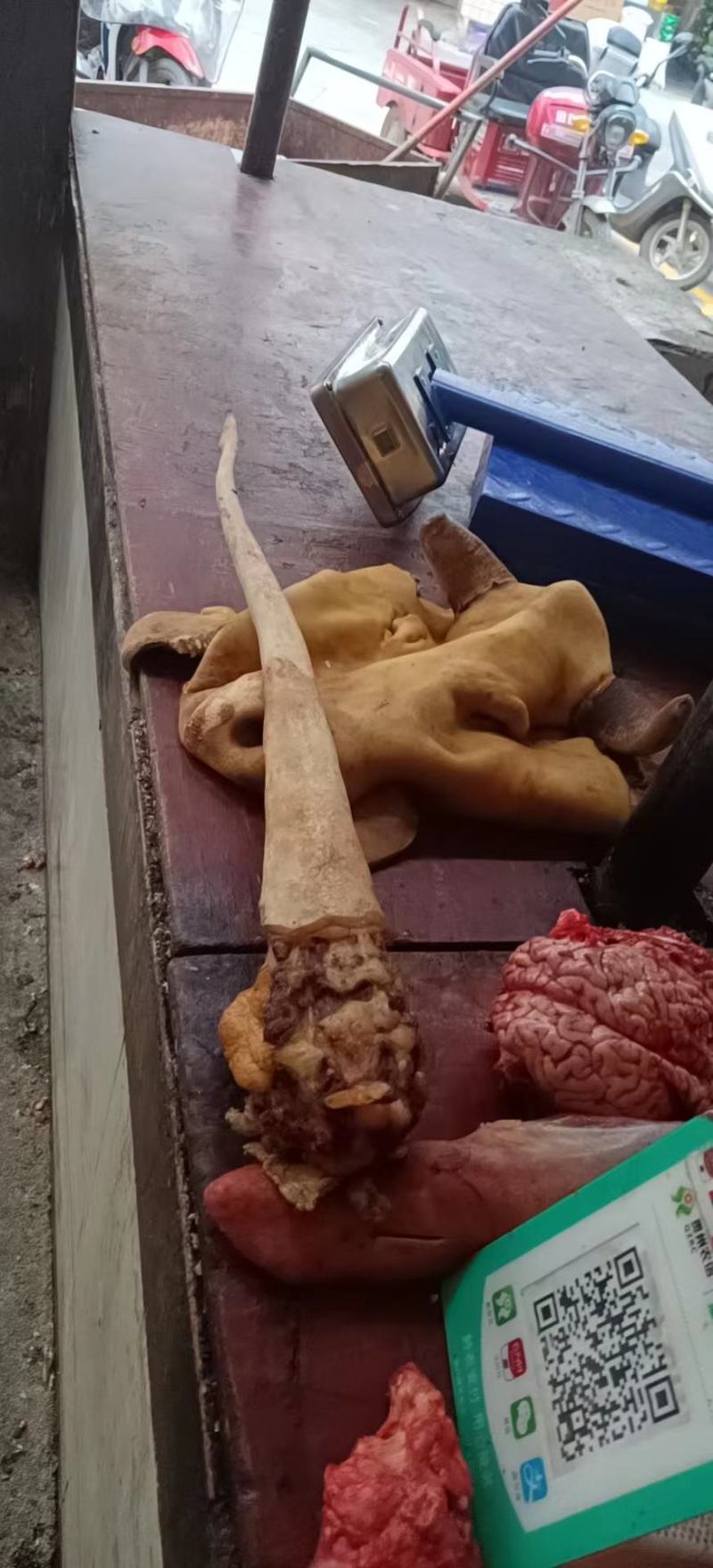 新鲜牛尾巴
