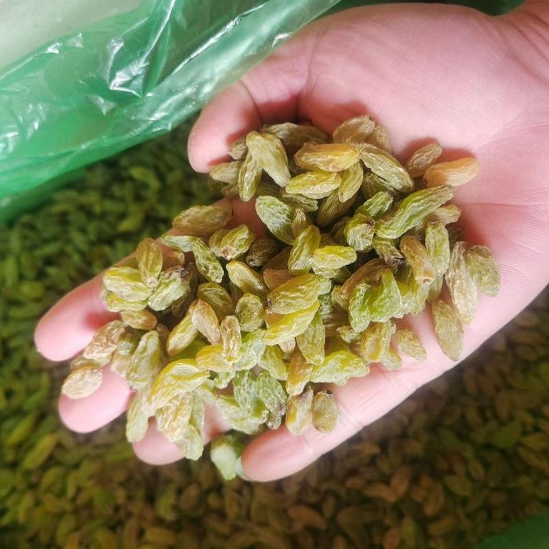 新疆葡萄干散装20斤整箱批发价无籽无核吐鲁番特产绿黄小中