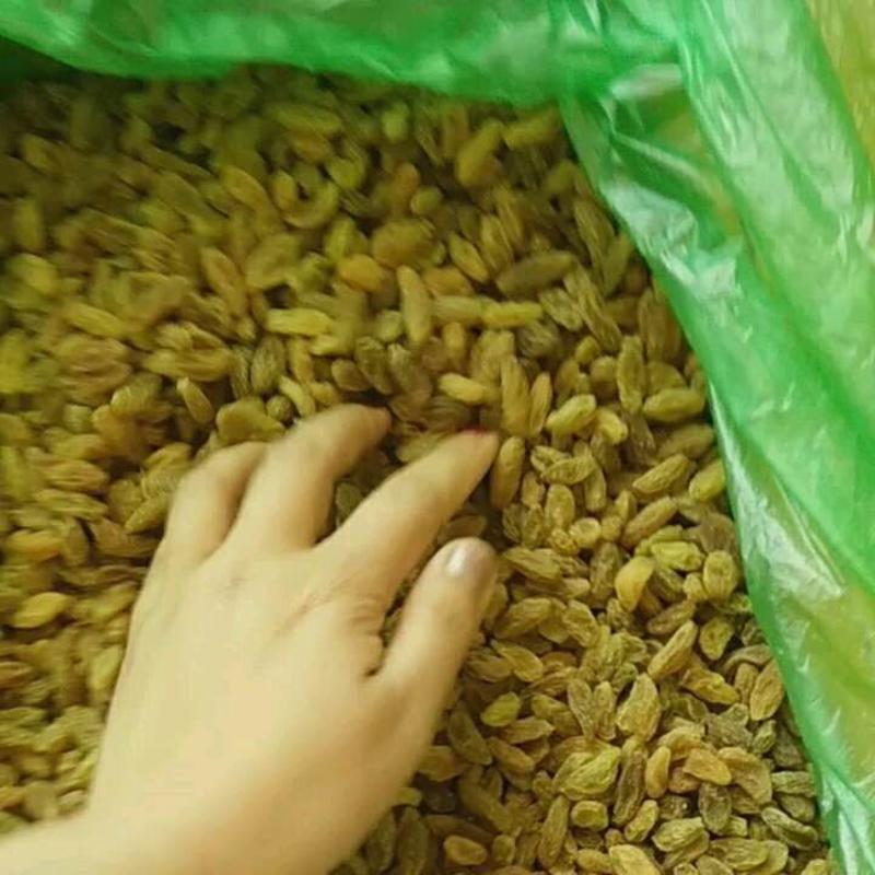 新疆葡萄干散装20斤整箱批发价无籽无核吐鲁番特产绿黄小中