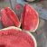 东台美都西瓜甜度高果型正品质保证基地直发一手货源