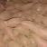 西瓜红，屋存，窖存红薯通货，商品薯开始出货中，可以分拣，