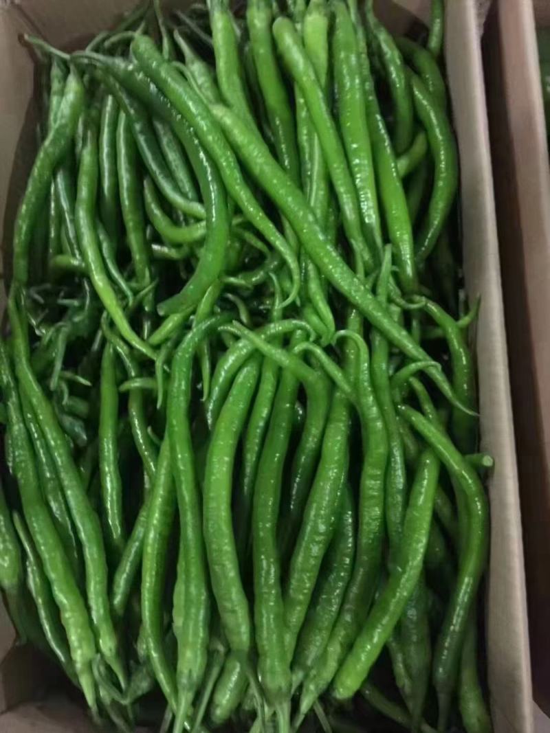 螺丝椒
