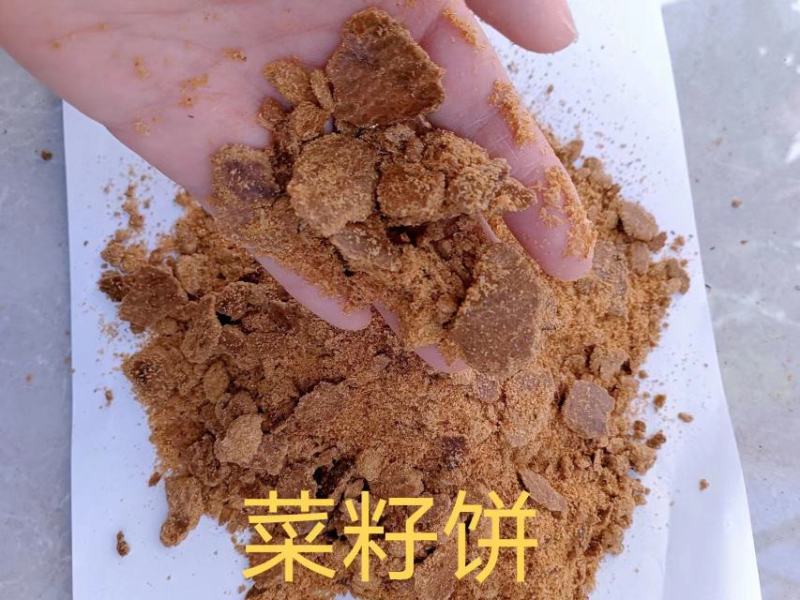 菜籽饼养殖饲料原料全国发货质量稳定