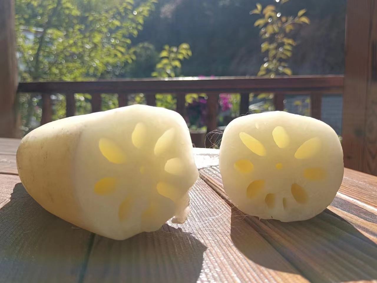 新鲜九孔莲藕的切面展示