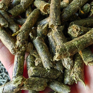 花生秧颗粒料，牛羊马专用颗粒料