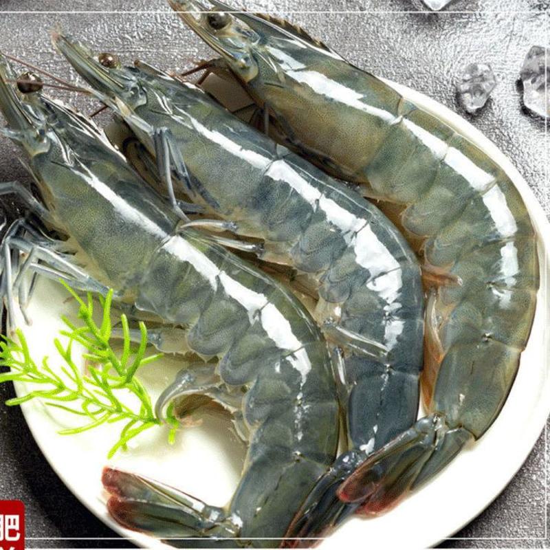 【青岛直供24小时内发货】青岛大虾新鲜活冷冻海虾基围虾