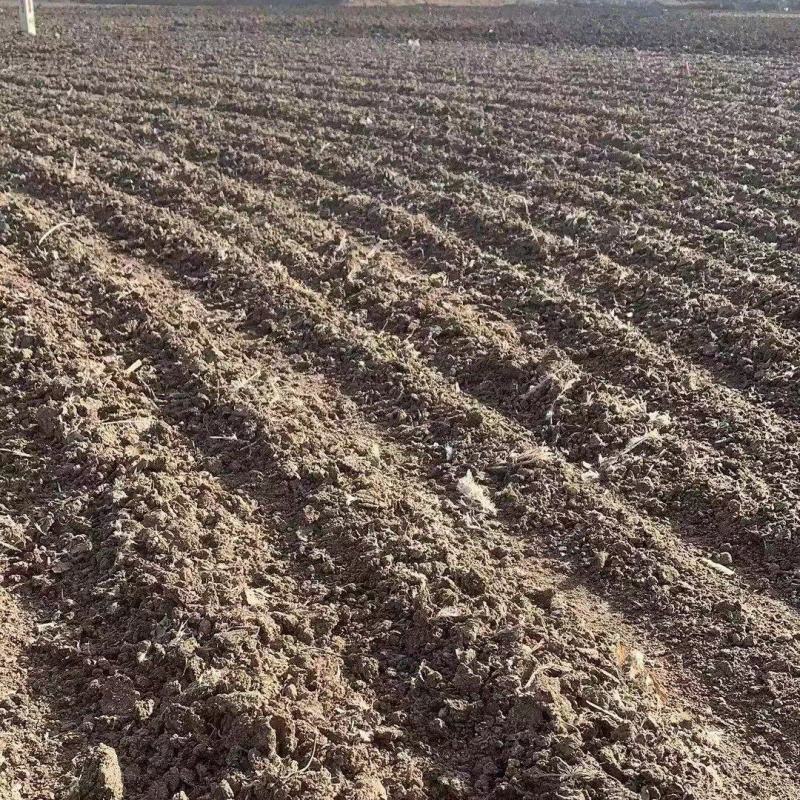 鸡粪干鸡粪高温腐熟基地直发保质保量