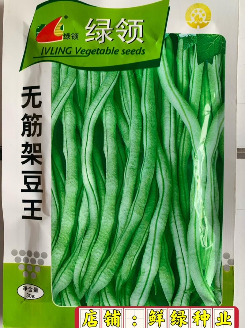 绿领宁豇三号黑籽早熟抗热丰产浅绿色嫩荚肉厚