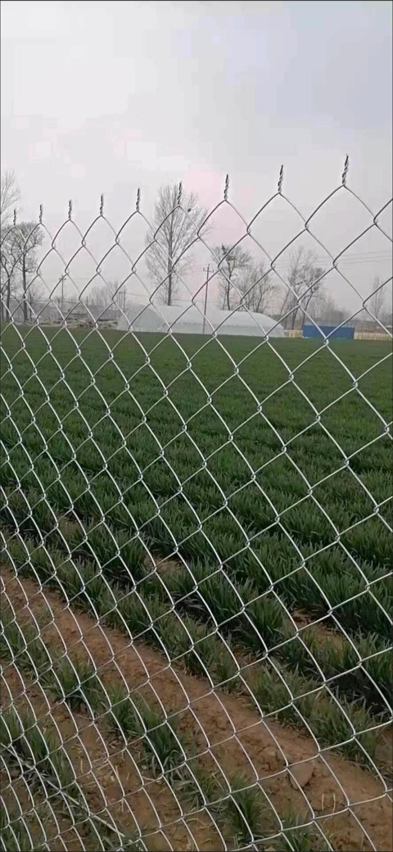 专业生产勾花网热镀锌菱形编织钢铁丝网养殖牛羊猪狗围网