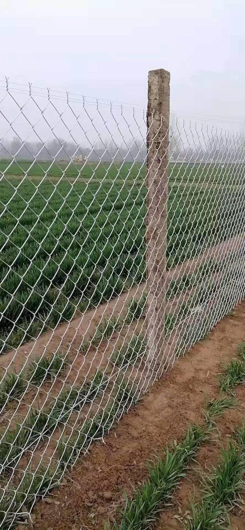 专业生产勾花网热镀锌菱形编织钢铁丝网养殖牛羊猪狗围网