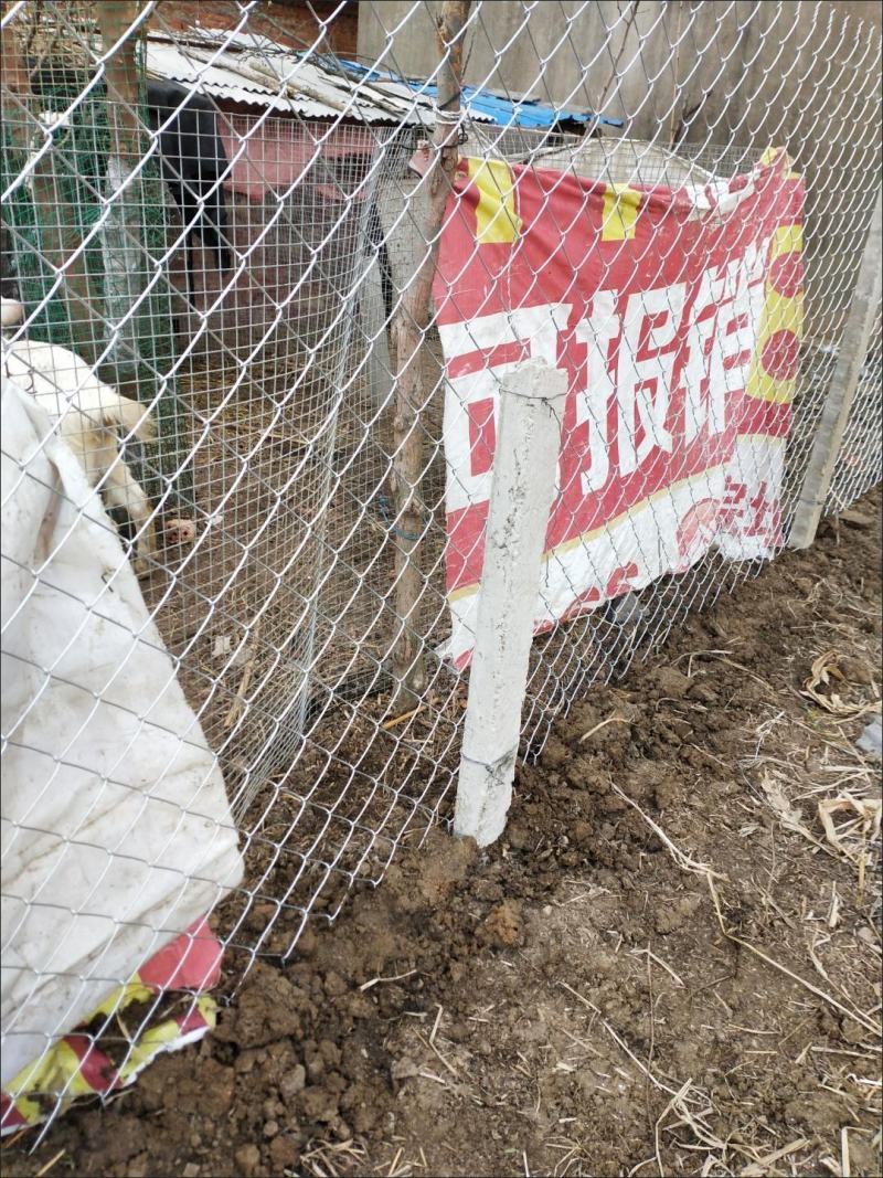 专业生产勾花网热镀锌菱形编织钢铁丝网养殖牛羊猪狗围网