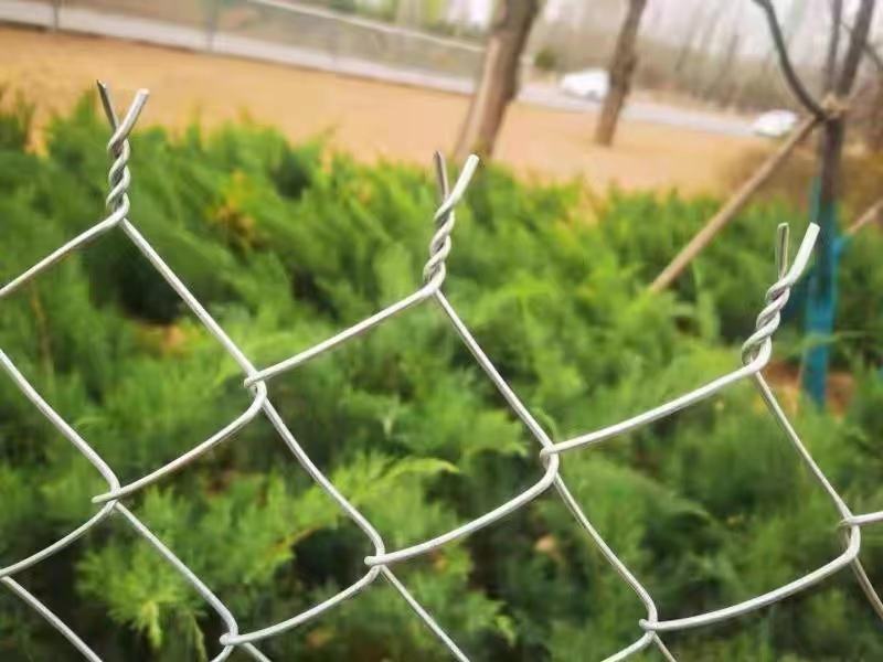 专业生产勾花网热镀锌菱形编织钢铁丝网养殖牛羊猪狗围网