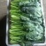 【山东菠菜】大叶菠菜；大量上市货源充足现采现发
