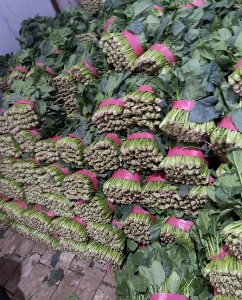 【山东菠菜】大叶菠菜；大量上市货源充足现采现发