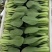 【基地直供】山东油菜上海青精品油菜海量货源