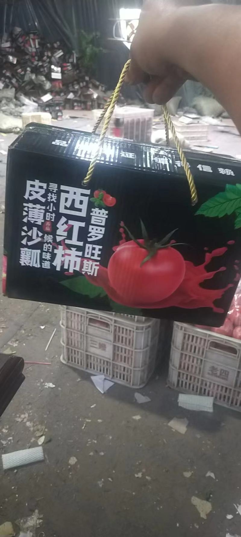 潍坊普罗旺斯西红柿大量上市中