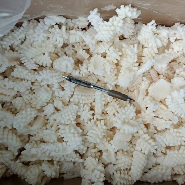 出口残鱿鱼花