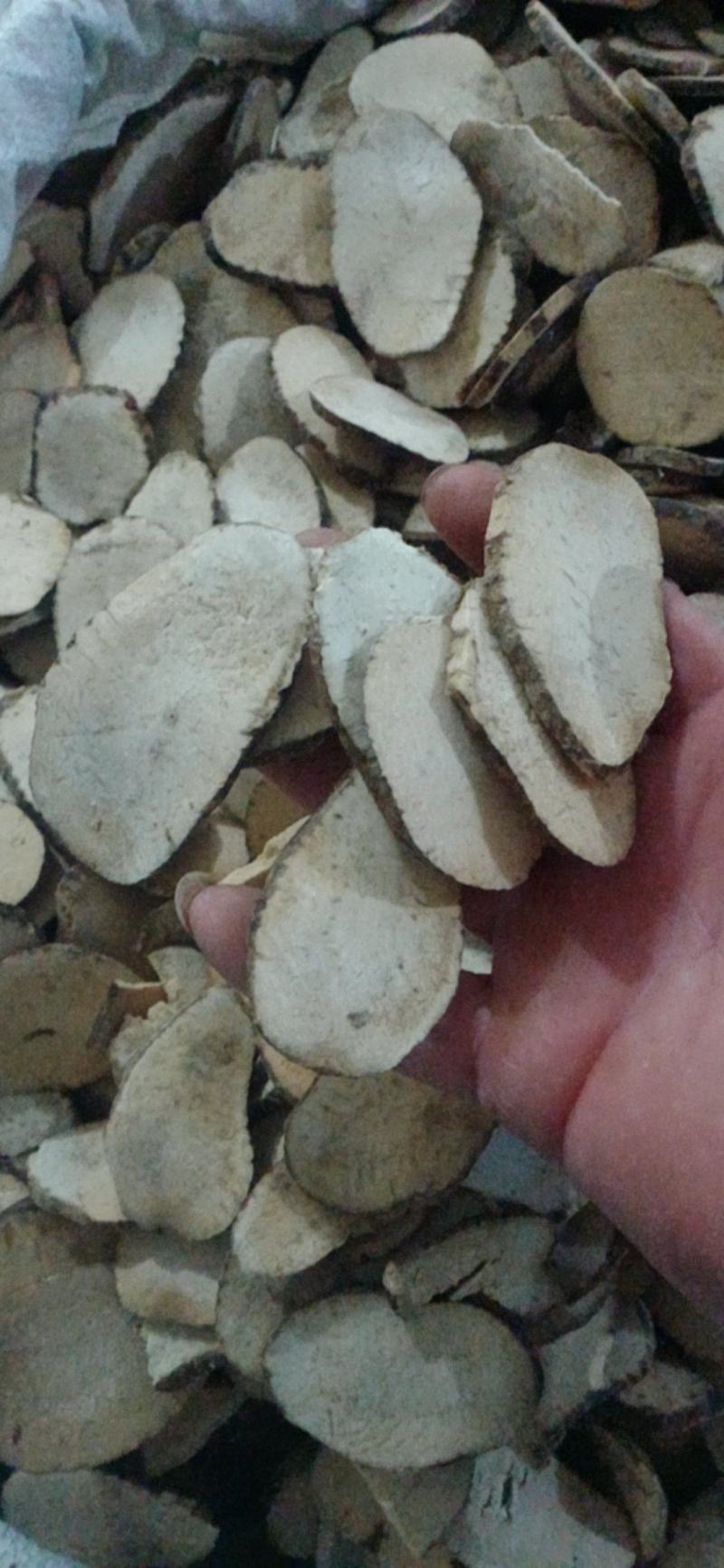 【泽泻】产地一手货源货源充足.量大优惠规格齐全质量保证。