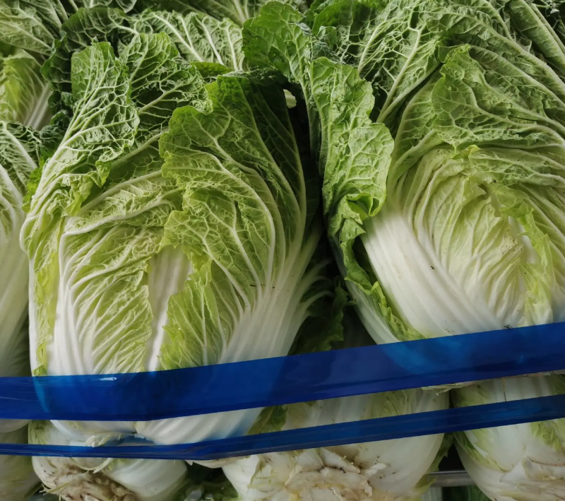 精品大白菜，大量有货，品质保证量大从优