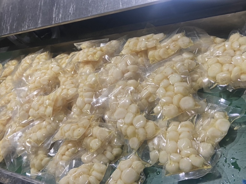 广西桂林荔浦桂花水果马蹄甜而不腻脆口多汁可以按要求定制